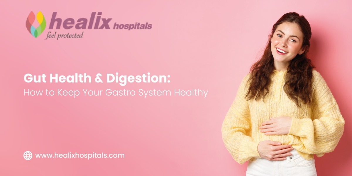 Gut Health and Digestion - How to Keep Your Gastro System Healthy
